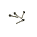 Carpmate Motor-Befestigungsschrauben